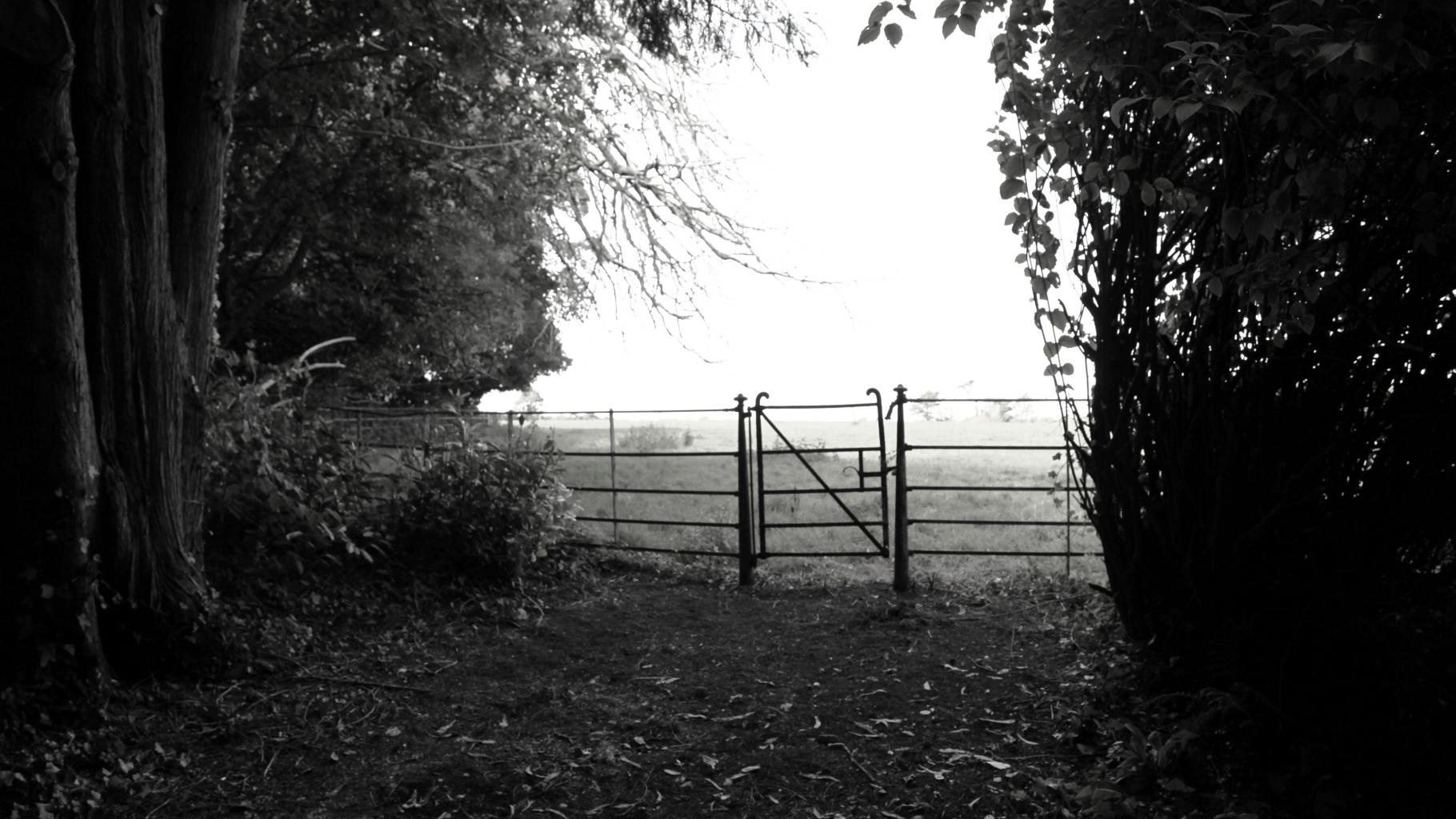 Old gate at the top of the drive looking into top field