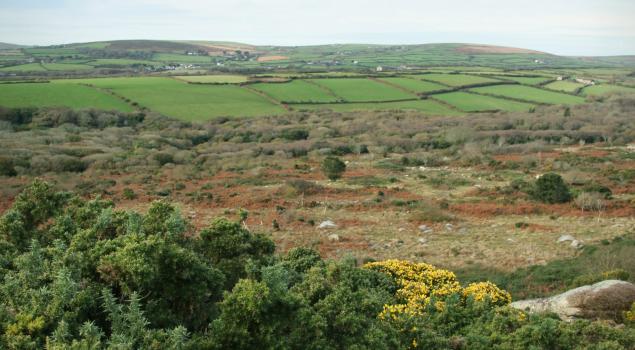 Archaeology Day up Madron Carn