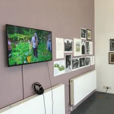Trengwainton exhibition 
