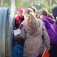 Newlyn School pupils looking in the WW2 shelter